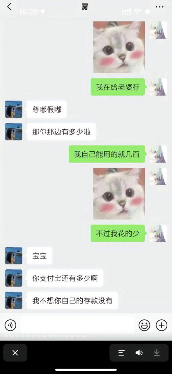 50309-4.jpg 50309-4.jpg